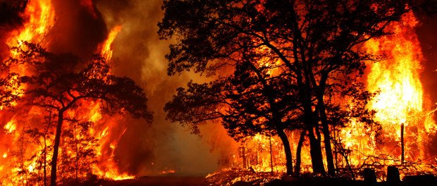 foc
