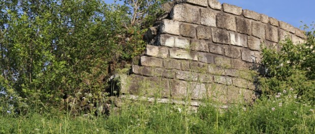 Gelu 1