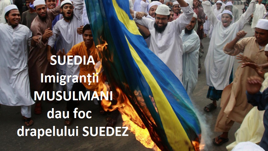 Imagini pentru musulmani ard suedia
