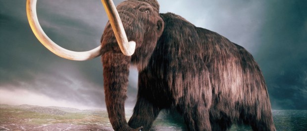 Mamut 2