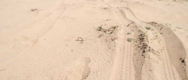 desert