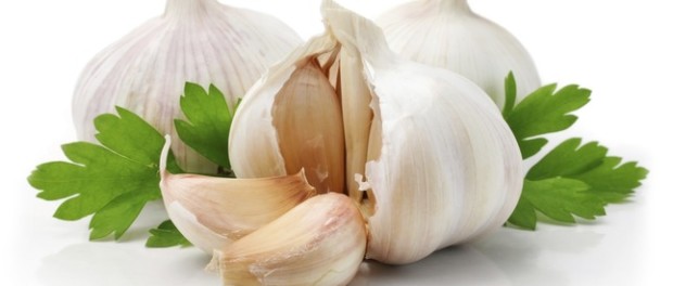 ripe garlic fruits with green parsley leaves