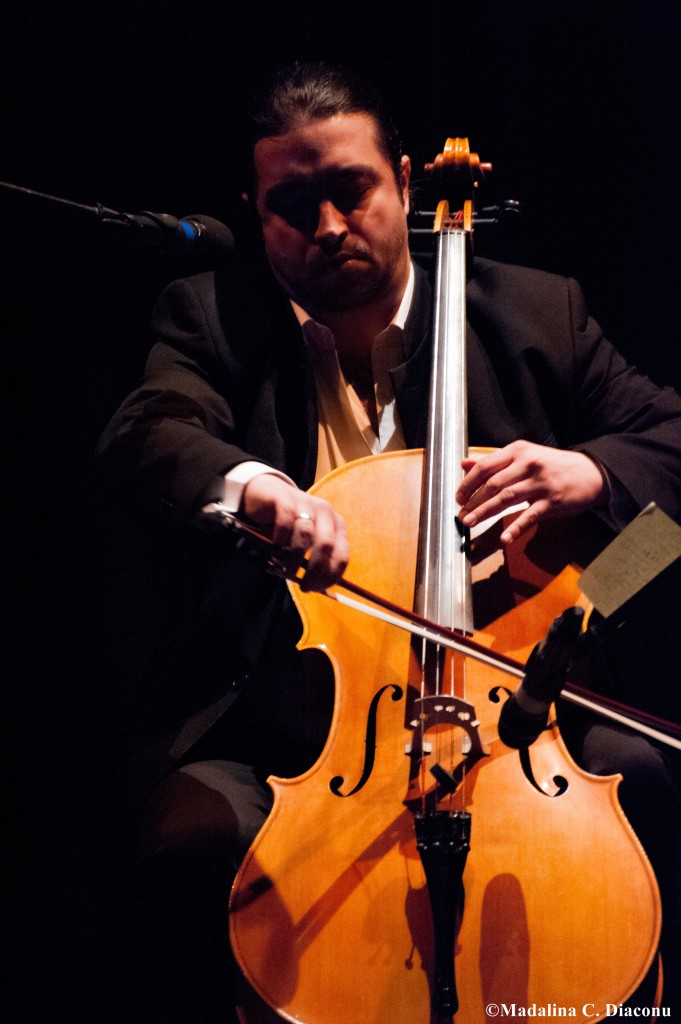 adrian-naidin