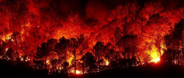 incendii padure foc pixabay