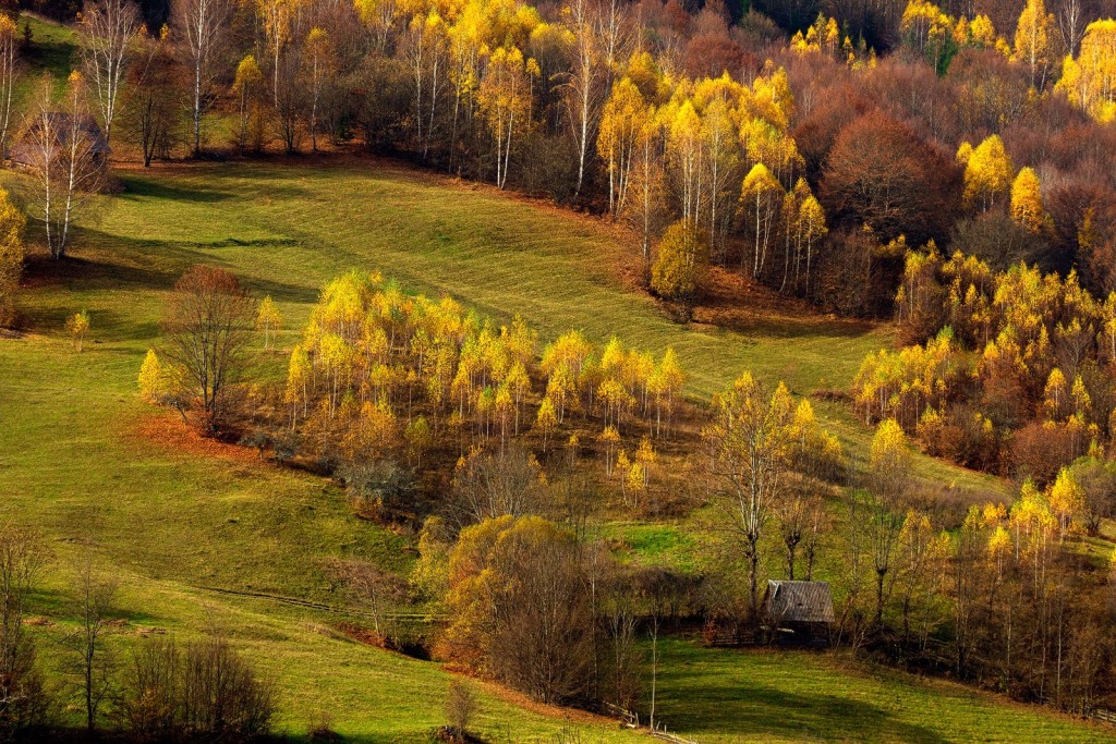 muntii apuseni