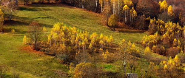 muntii apuseni