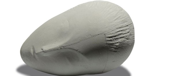 muzaadormita-brancusi