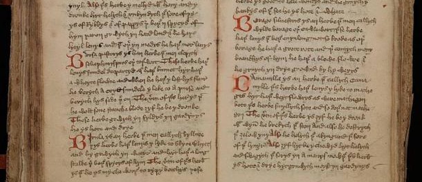 Middle-English-leech-book