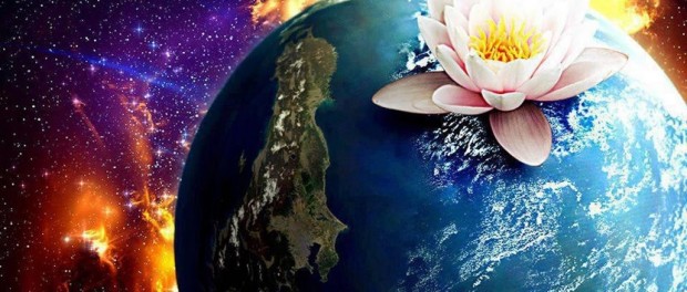 Plante si planete
