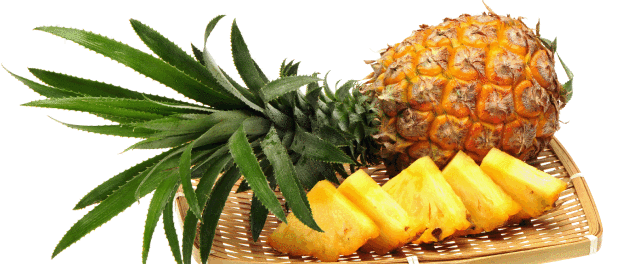 ananas