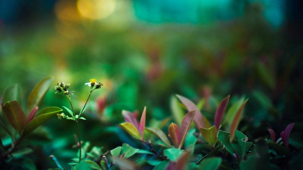 green_life-1280x720
