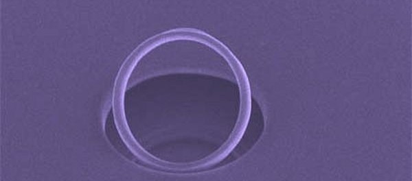 r235688_948280