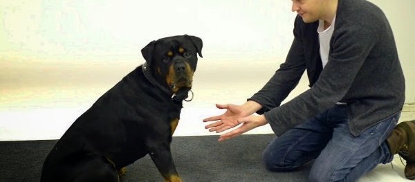 caine si magie