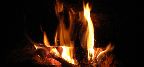 foc