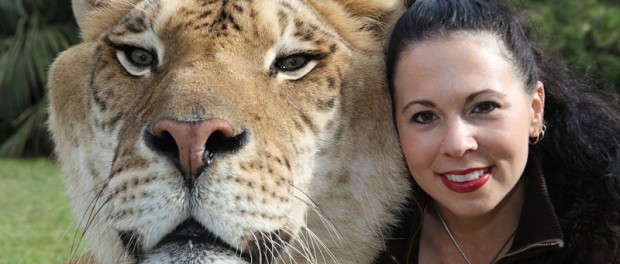 liger