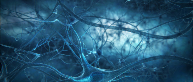 neuronuul