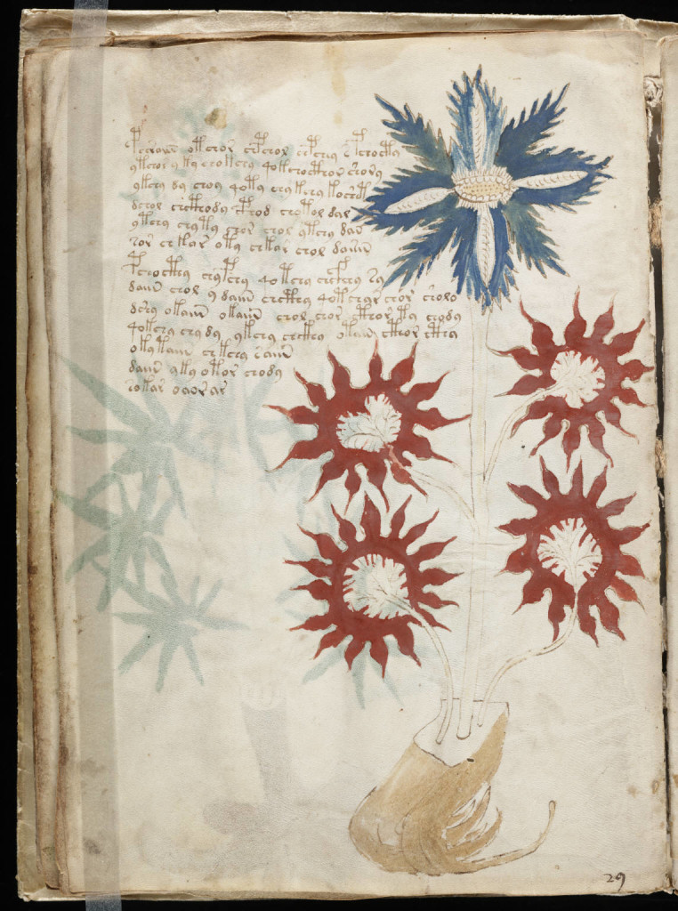 Voynich_Manuscript_(32)