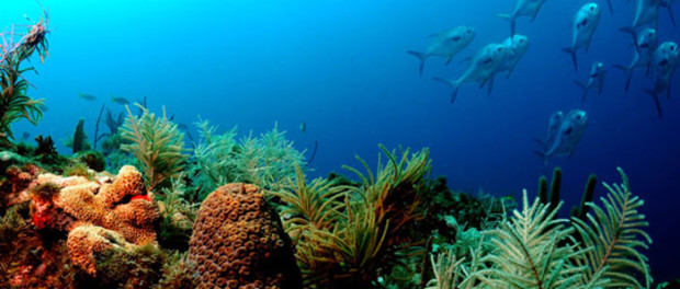 explore_banner