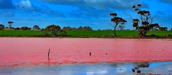 hillier-lake-australia