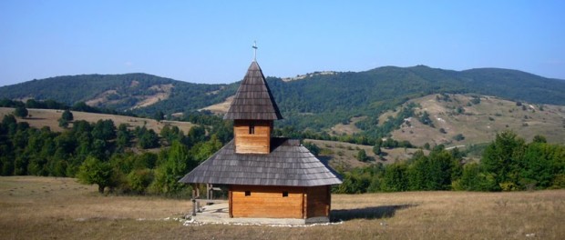 59536430