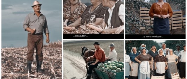 clip moldova