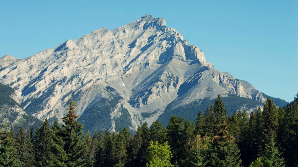 image1(3)