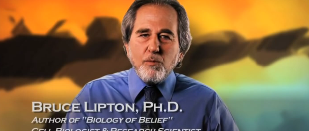 Bruce-Lipton