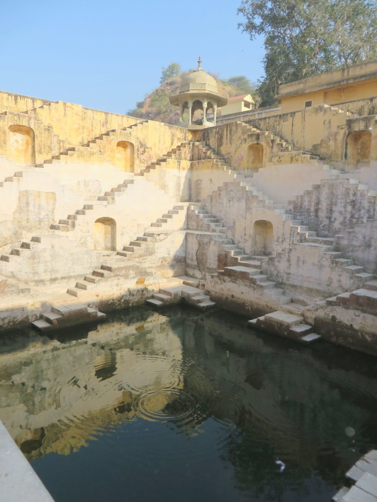 Ive-Spent-Years-Searching-For-Indias-Vanishing-Subterranean-Marvels11__880