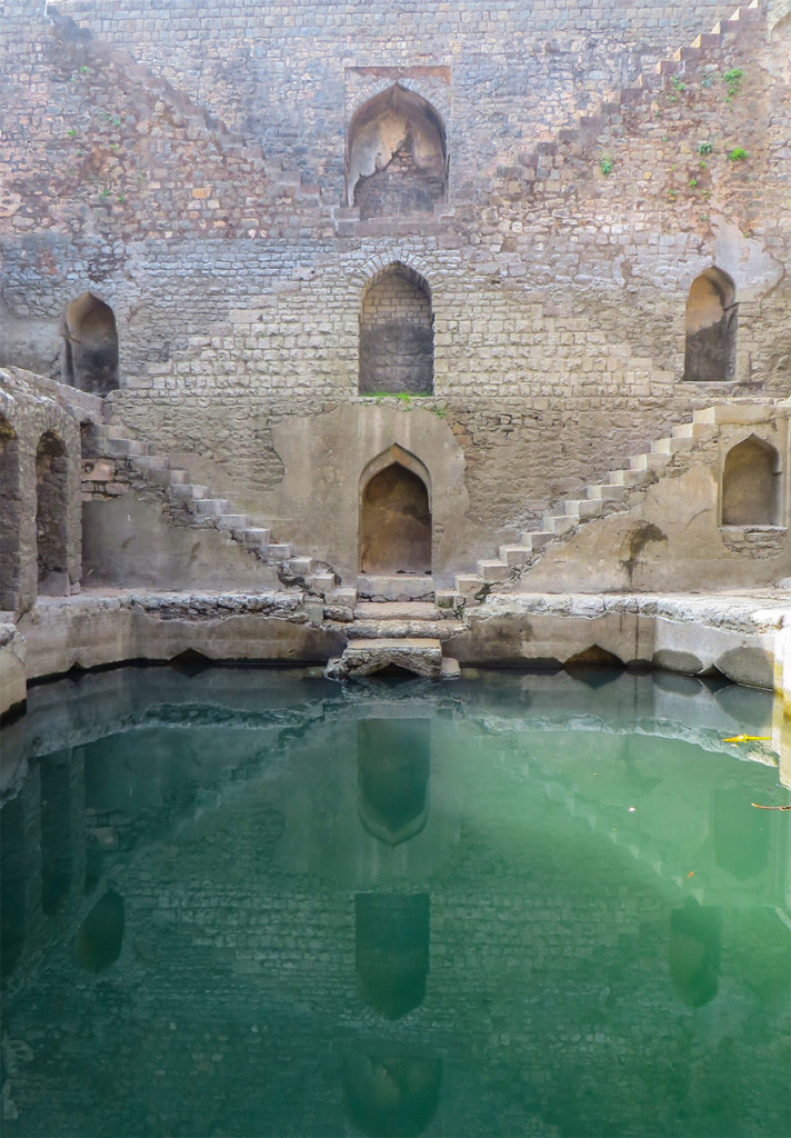 Ive-Spent-Years-Searching-For-Indias-Vanishing-Subterranean-Marvels25__880