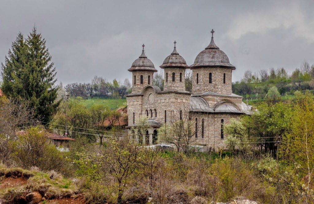 _MG_8193