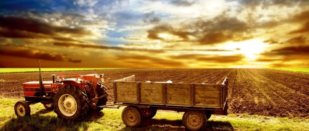 agricultura