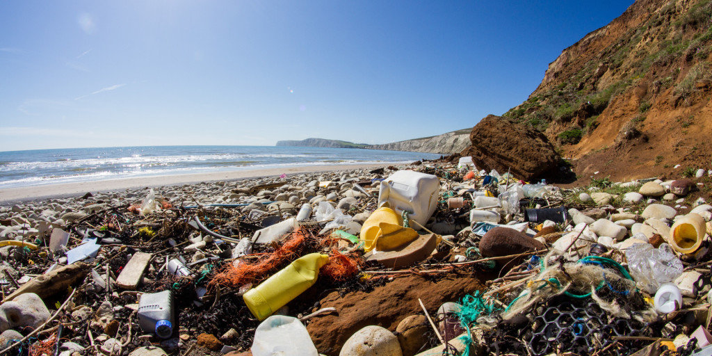 o-PLASTIC-OCEAN-facebook
