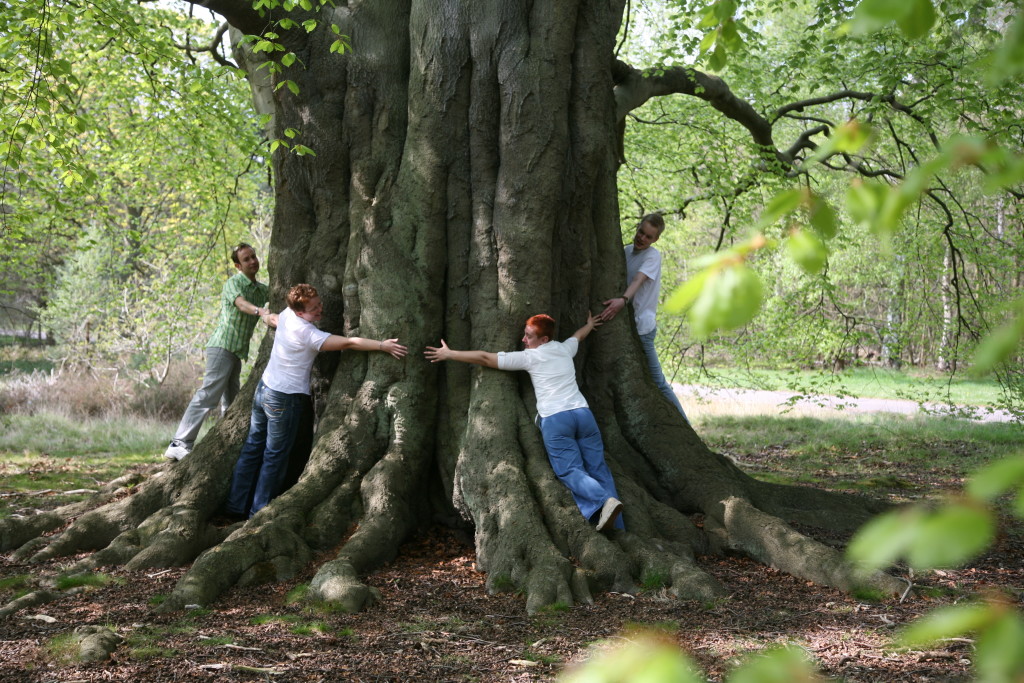 tree-hug-staff-cmars