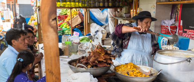 Les cochons d'Inde en file indienne