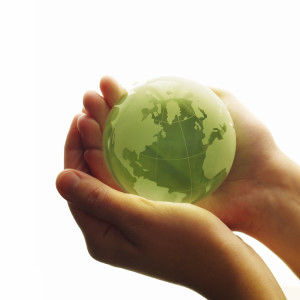 fighting-to-save-the-planet-e2-80-a6one-board-room-at-a-time