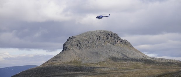 halti