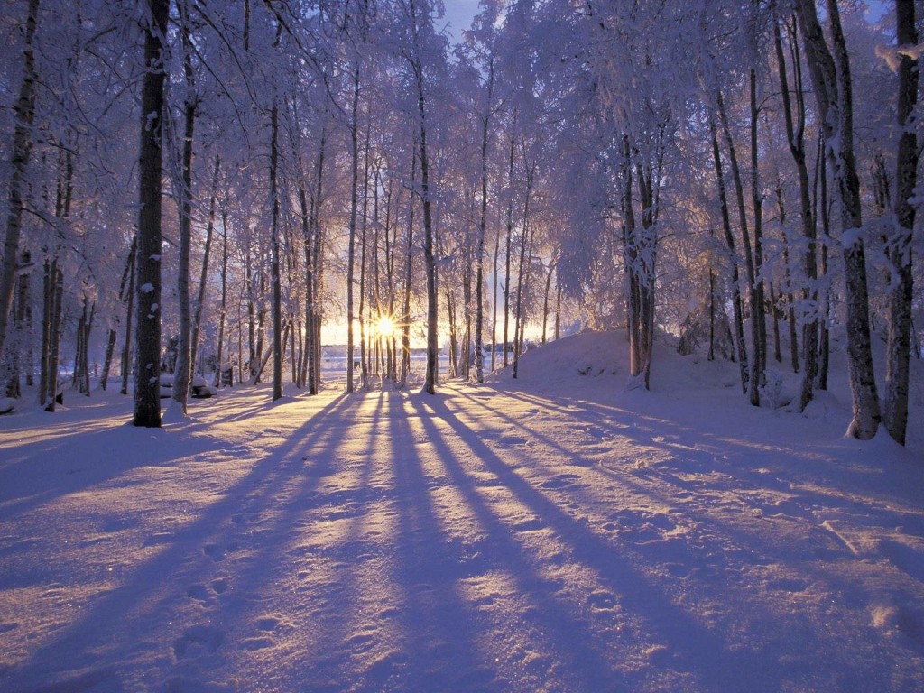 iarna 4
