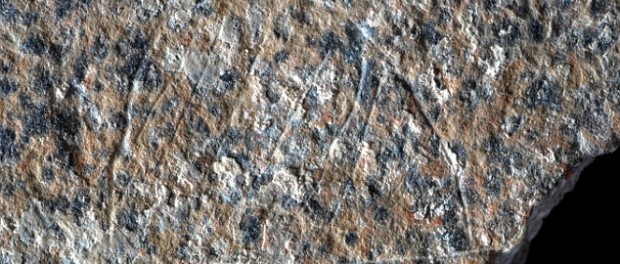paletolitc3