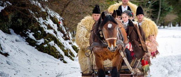 Gutescu_ Trasura in Bucovina