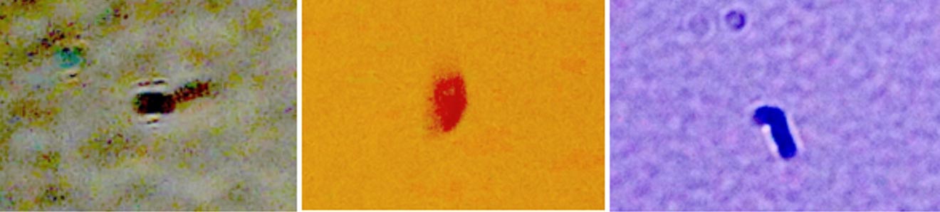 Photographs-of-ITE-1s