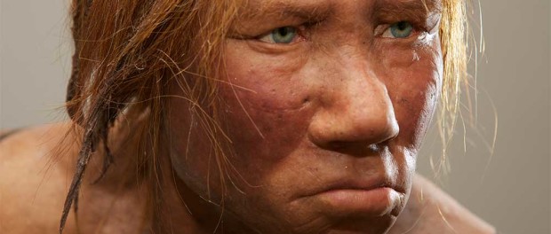 encounters-between-modern-humans-and-neanderthals-increased-our-body-immunity-capacity