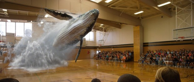 magic-leap-whale-jump