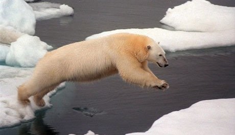 urs polar