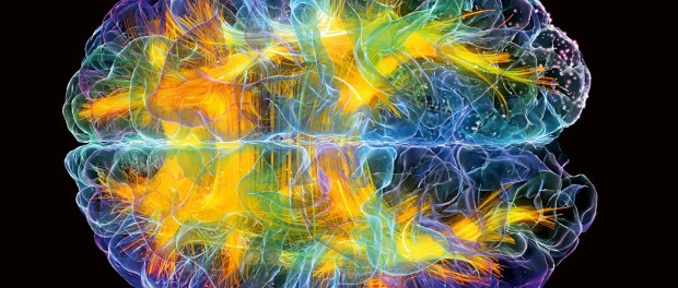 Brain_12