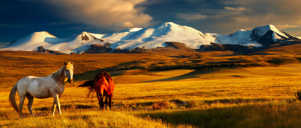 Mongolia