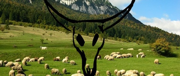 dezastru in agricultura