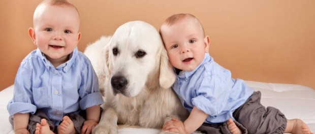 dogs-for-people-with-allergies-and-kids