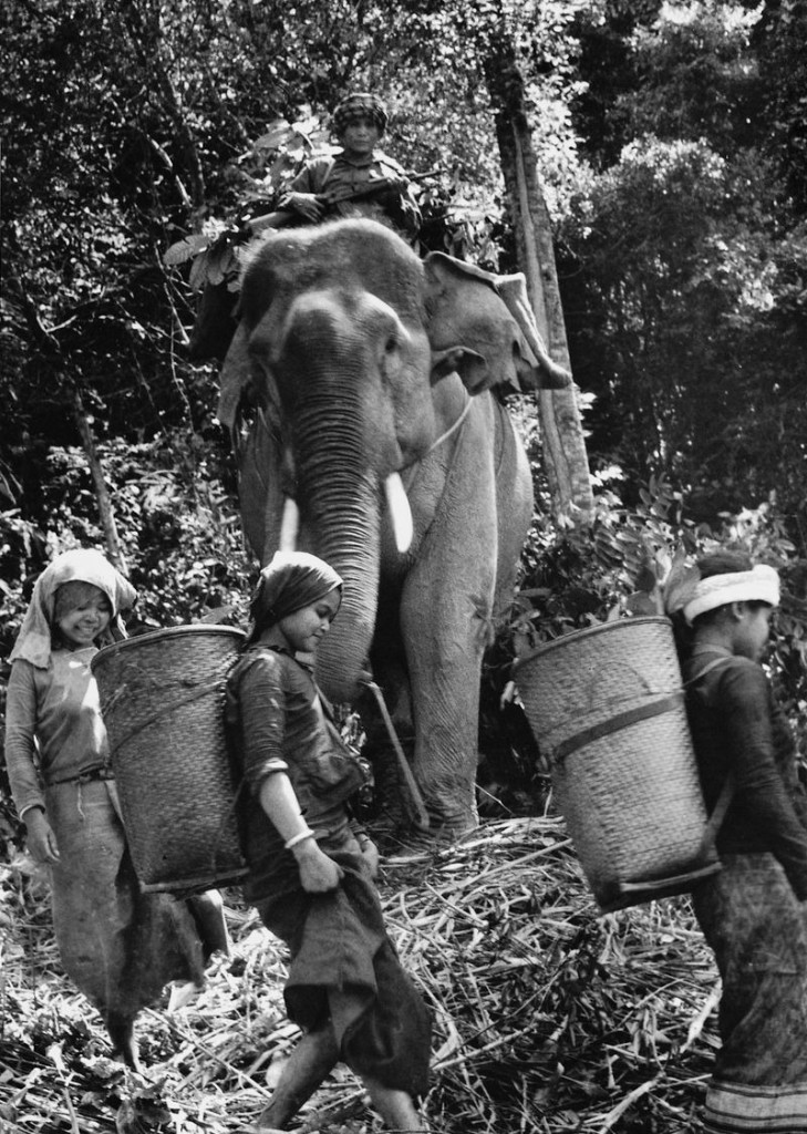 vietnam1