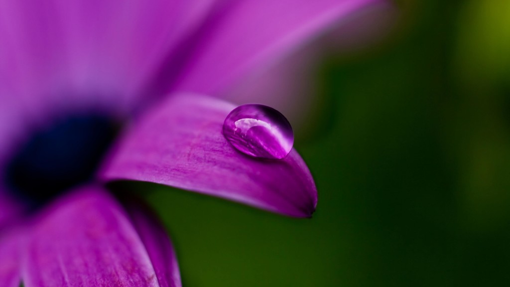 violet-small-flower-wallpaper-awesome-10r8z1hc0n