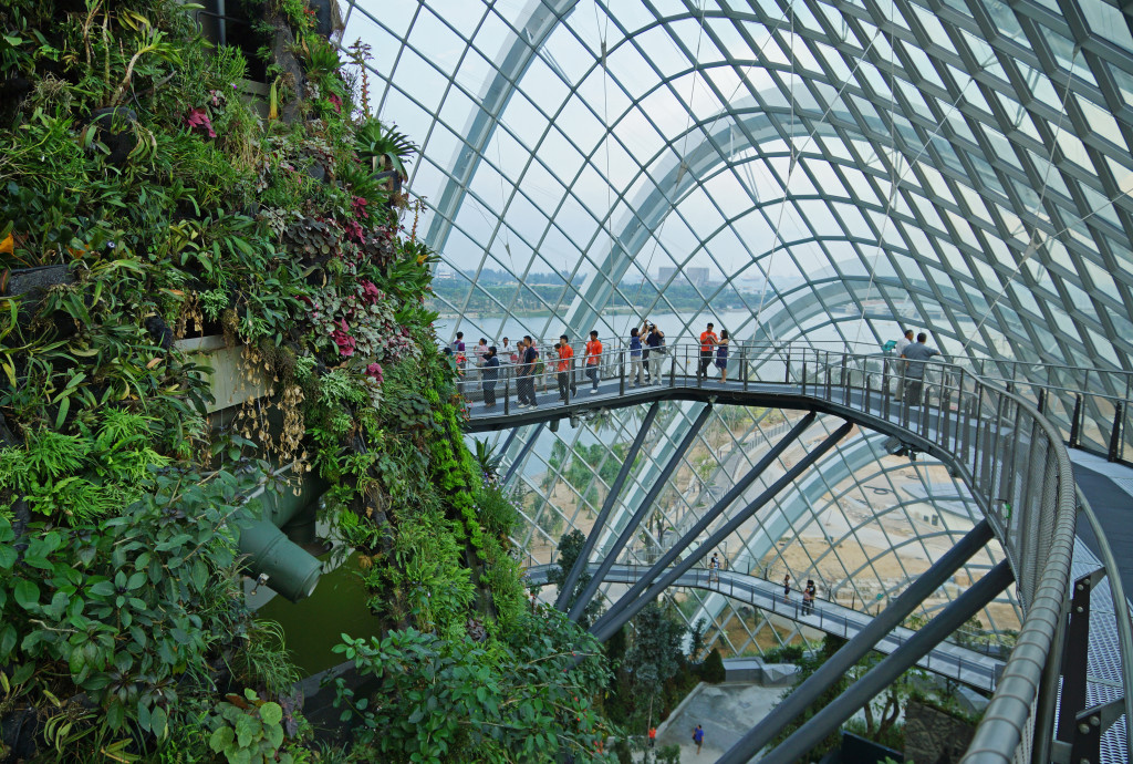 Cloud_Forest,_Gardens_by_the_Bay,_Singapore_-_20120617-03